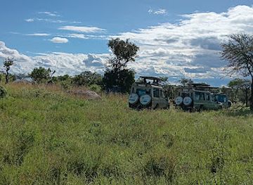 tanzania/ngorongoro-conservation-area/attraction/serengeti-national-park