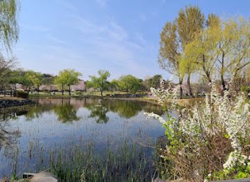 south-korea/seoul/attraction/yongsan-family-park