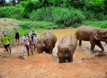 thailand/lanna/attraction/elephant-retirement-park