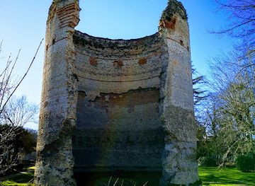 france/dordogne/attraction/tour-de-vesone