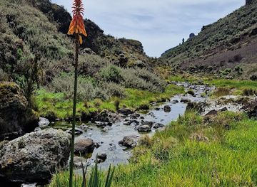 uganda/mount-elgon-national-park/attraction/mount-elgon-hot-spring