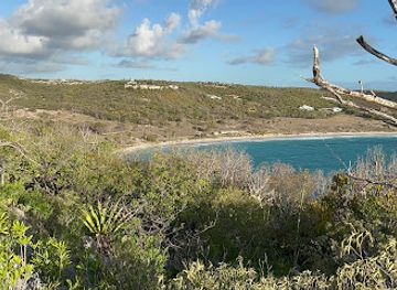 antigua-and-barbuda/liberta/attraction/exchange-bay