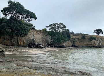 new-zealand/auckland/attraction/beachlands