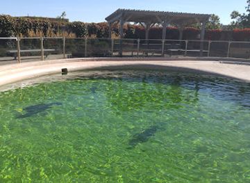 canada/acadian-peninsula/attraction/aquarium-nb