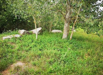 lithuania/aukstaitija/attraction/mezolito-laiku-astronominis-isdestymo-akmenys