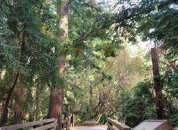 california/san-francisco-peninsula/attraction/redwood-grove-nature-preserve