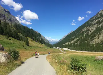 Prato delle Marmotte
