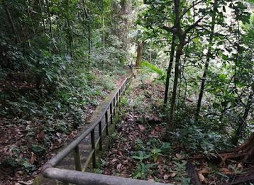 brunei/temburong-district/attraction/bukit-mas