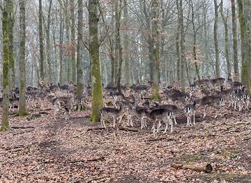denmark/randers/landmark/gravhojen-i-fladbro-dyrehave