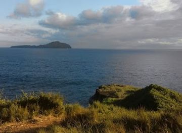 norfolk-island/nepean-island/attraction/phillip-island