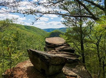 pennsylvania/bald-eagle-state-park/attraction/golden-eagle-trail