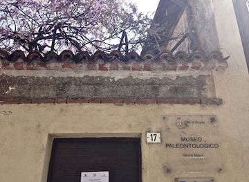 italy/monferrato/attraction/museo-paleontologico-giulio-maini