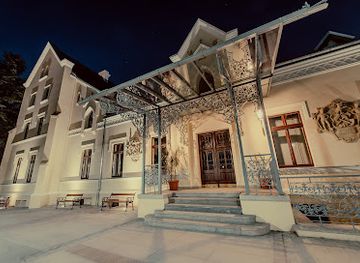 poland/silesia/attraction/rheinbaben-palace