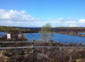 ireland/county-longford/attraction/corlea-trackway-visitor-centre