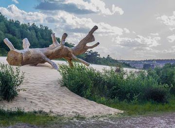 belgium/campine-kempen/attraction/mechelse-heide