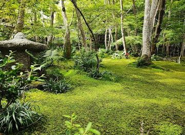 japan/nara/attraction/gioji