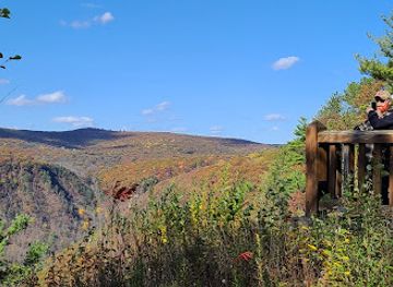 pennsylvania/south-central-pennsylvania/attraction/pa-grand-canyon