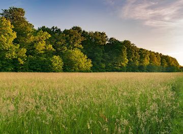 croatia/medimurje/attraction/bedekoviceve-grabe