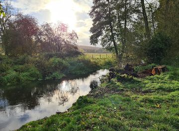 united-kingdom/berkshire/attraction/moor-copse-nature-reserve