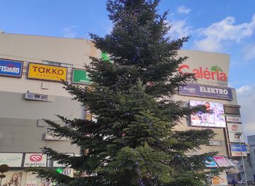 slovakia/kosice/attraction/namestie-pred-oc-galeria