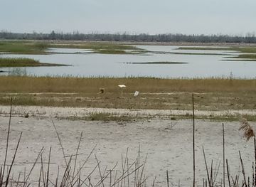 ukraine/polesia/attraction/museum-star-wormwood
