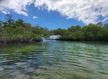 puerto-rico/la-parguera/attraction/cayo-collado