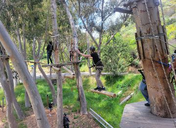 california/santa-catalina-island/attraction/catalina-aerial-adventure