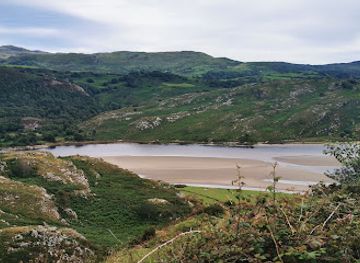 united-kingdom/snowdonia-national-park/attraction/gwaith-powdwr-north-wales-wildlife-trust-nature-reserve