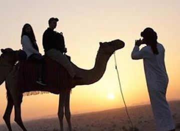 united-arab-emirates/ajman/attraction/desert-safari-tours-dubai