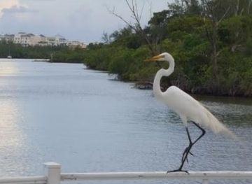 florida/jupiter/attraction/sawfish-bay-park