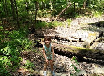 ohio/wayne-national-forest/attraction/flint-ridge-state-memorial