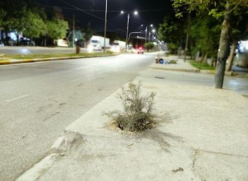 iraq/kalar/attraction/bngrd-park