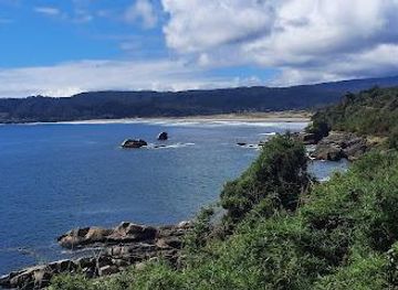 chile/valdivia/attraction/caleta-chaihuin