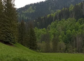 poland/tatra-mountains/attraction/cudakowa-polana