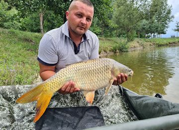 romania/satu-mare/attraction/transilvania-fish-world