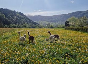norway/vestlandet/attraction/steim-farm-visit