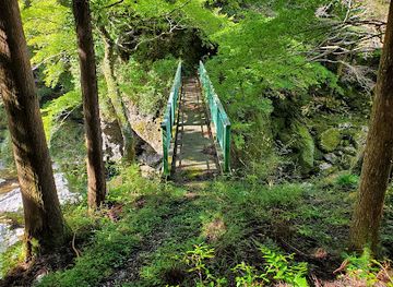 japan/shikoku-island/attraction/Setogawa-keikoku-shukyou