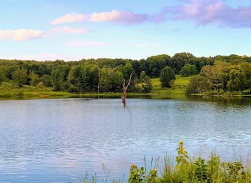 missouri/bootheel/attraction/mingo-national-wildlife-refuge