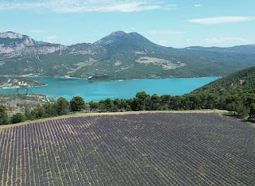 france/gorges-du-verdon/attraction/champs-de-lavande