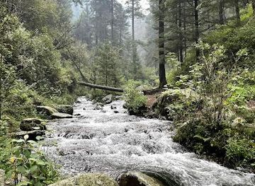 mexico/mexico-city/attraction/parque-nacional-los-dinamos