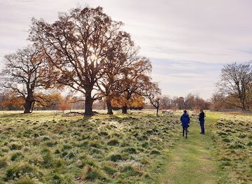 united-kingdom/shropshire/attraction/national-trust-attingham-park-estate-cronkhill