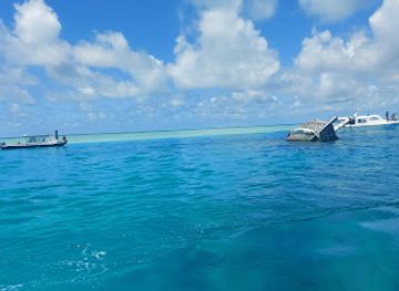 maldives/fulidhoo/attraction/vaavu-shipwreck