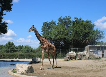 kentucky/louisville/attraction/louisville-zoo