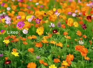 uzbekistan/andijan-region/attraction/hiyobon