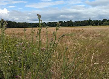 united-kingdom/berwickshire/attraction/the-ba-green