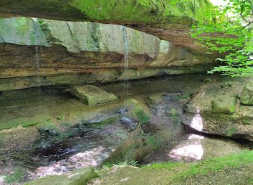 ohio/hocking-hills/attraction/hocking-hills-canopy-tours