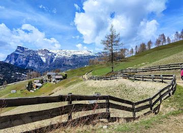 italy/alta-badia/attraction/larchenweg