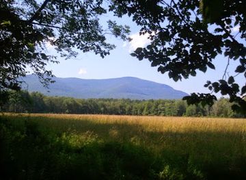 new-york/catskill-mountains/attraction/woodstock-artists-association-museum