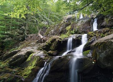 virginia/shenandoah-national-park/attraction/dark-hollow-falls-trailhead