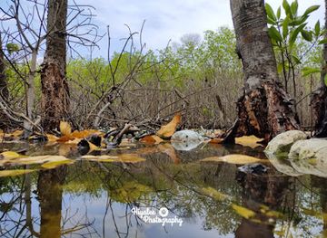 maldives/haa-dhaalu-atoll/attraction/kandoofa